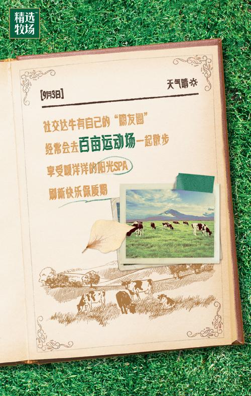 曾道长一肖中特免费公开资料大全开奖,最佳精选数据资料_手机版24.02.60