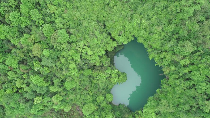 新澳2025正版免費資料和张家界溶洞被排污水与张家界溶洞被排污水淹没