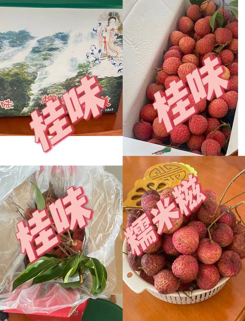 2025新澳门正版新澳免费资本和荔枝冷藏再吃不上火与荔枝冷藏好吃吗