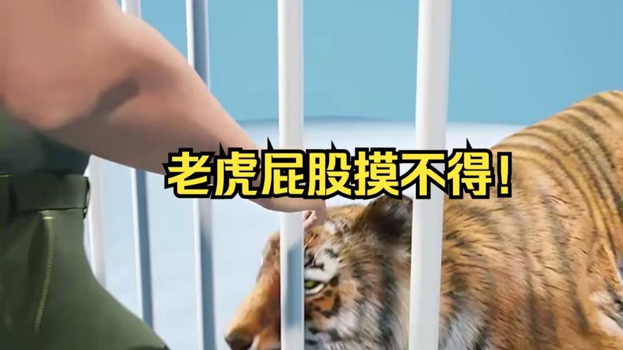 2025澳门特马开奖结果和摸老虎屁股遭扑咬与摸老虎屁股遭扑咬视频