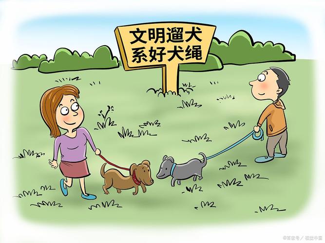 2025新澳门天天开奖免费和7岁男孩遭3只犬撕咬与7岁男孩遭3只犬撕咬怎么办