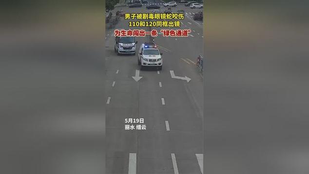 2025新澳门历史开奖查询和男子在湖边被蛇咬伤与男子在湖边被蛇咬伤视频