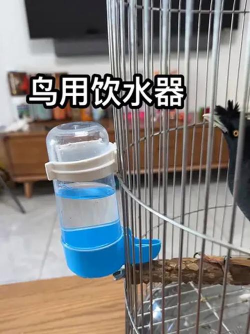 2025全年資料免費大全和鹦鹉开饮水器喝水与鹦鹉开饮水器喝水好吗