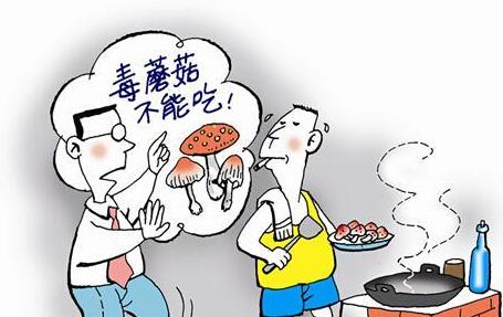 澳门研究生一码资料,和男童吃毒蘑菇去世与小孩吃毒蘑菇中毒视频