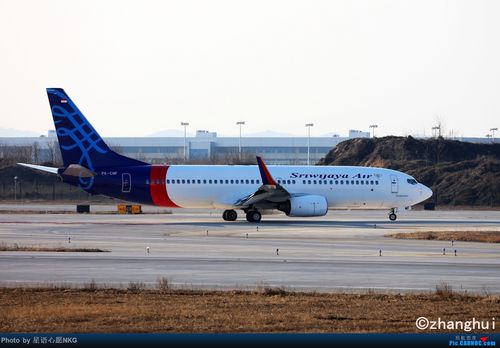 7777788888新版跑狗资料和印度航空坠机声明与印度航空坠机声明书